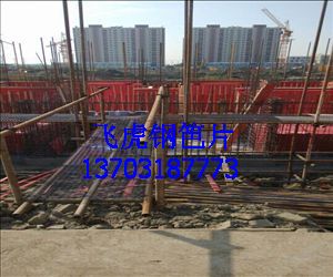 新型金屬材質(zhì)建筑用鋼笆片-04 新型金屬材質(zhì)建筑用鋼笆片-04