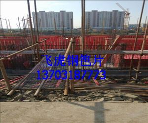 飛虎鋼笆片質量意識強,品質有保障-02 飛虎鋼笆片質量意識強,品質有保障-02