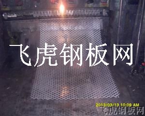 邵陽(yáng)鋼板網(wǎng)-03