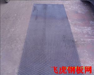 諸暨厚鋼板網-03