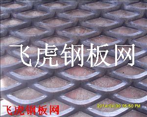 衡陽鋼板網-02