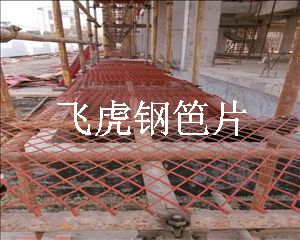 飛虎建筑鋼笆片安全系數(shù)高,可循環(huán)使用十次以上-04 飛虎建筑鋼笆片安全系數(shù)高,可循環(huán)使用十次以上-04