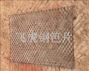 飛虎建筑鋼笆片替代竹笆片應用的性能體現