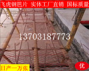 建筑鋼笆片有絕對優(yōu)勢代替?zhèn)鹘y(tǒng)的竹笆片-03