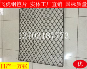 高層施工外墻用建筑鋼笆片未來的發展趨勢