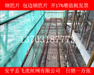 哪里有專業生產建筑鋼笆片的廠家