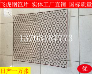 哪里有專業生產建筑鋼笆片的廠家-02 哪里有專業生產建筑鋼笆片的廠家-02