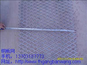 腳手架擴張網(wǎng)－01