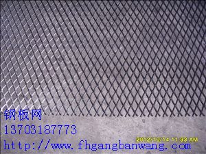 專業(yè)鋼板網(wǎng)3