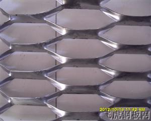 廣東重型鋼板網－０３