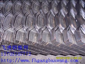 等腰花式鋼板網4