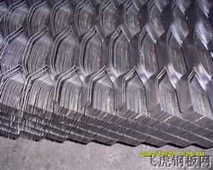 六角拉伸網－０３