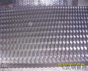 龜甲形擴張網－０４