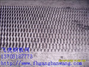 專業(yè)鋼板網(wǎng)2