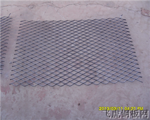 真<a href='http://www.kq326.com'>鋼笆片</a>－０１